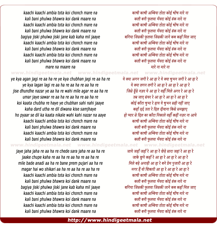 lyrics of song Kachhi Kachhi Ambia
