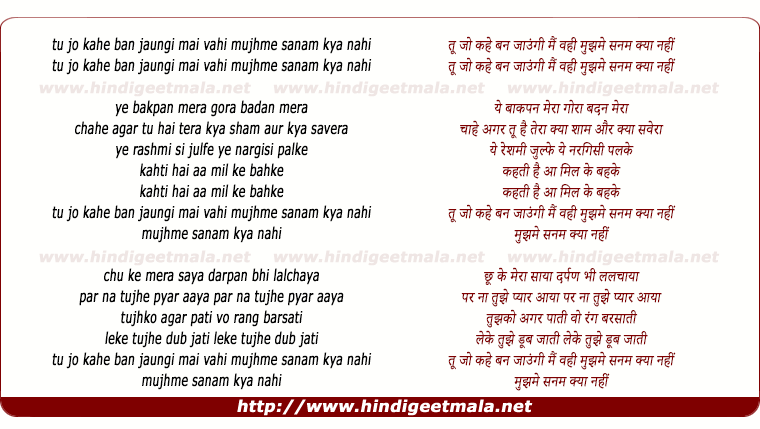 lyrics of song Tu Jo Kahe Ban Jaungi Mai Vahi