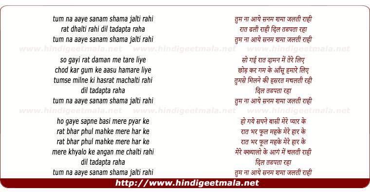 lyrics of song Tum Na Aaye Sanam Shama Jalti Rahi