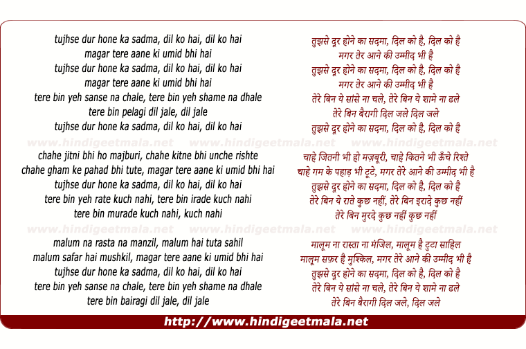 lyrics of song Tujhe Dur Hone Ka Sadma, Ummeed (Remix)