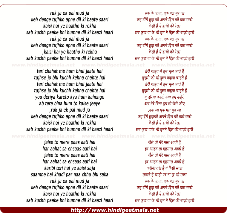 lyrics of song Ruk Ke Jana (Everytime I See You Remix)