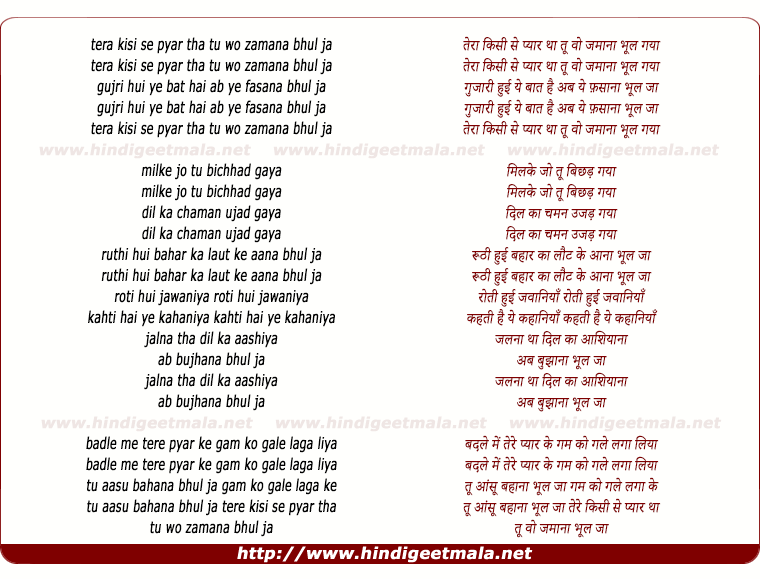 lyrics of song Tera Kisi Se Pyar Tha Tu Wo Zamana
