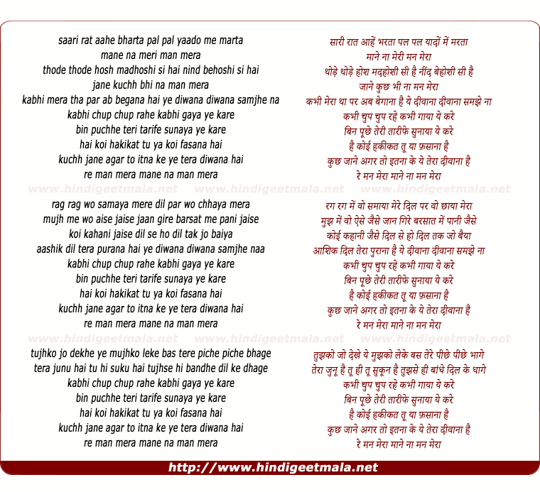 lyrics of song Mann Mera (Remix)