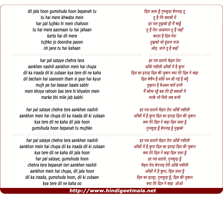 lyrics of song Chehra, Dil Jala Hu Gumshuda Hu Bepanah Tu