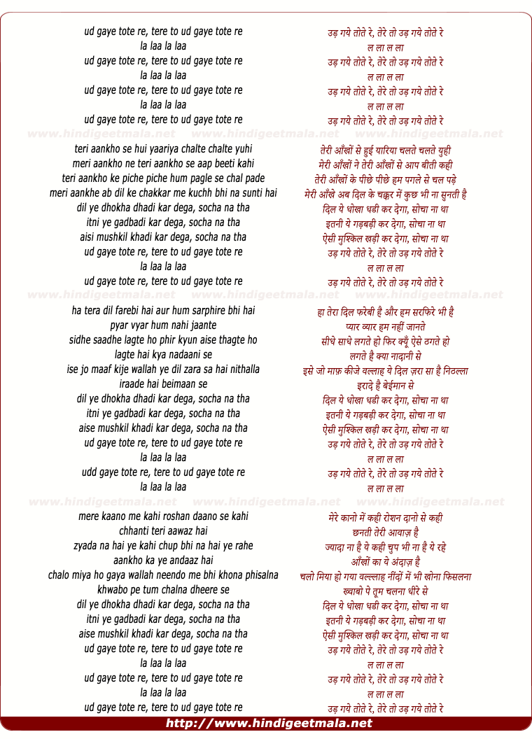 lyrics of song Dhokha Dhadi