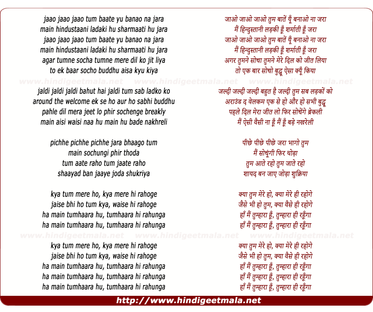 lyrics of song Ha Mai Tumhara Hu (Remix)
