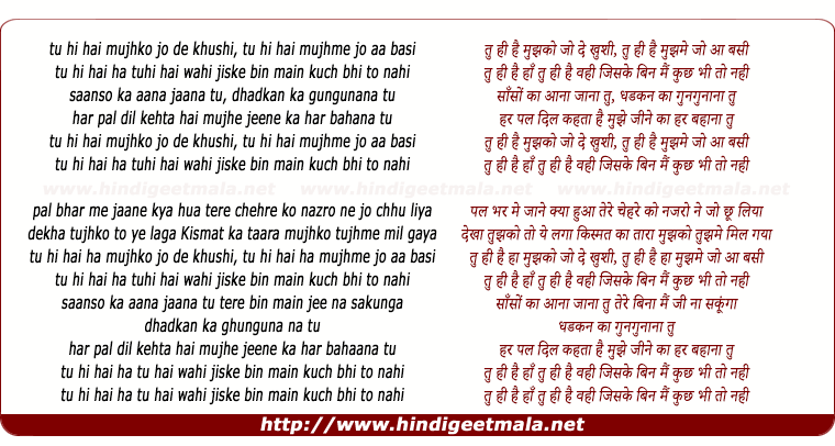 lyrics of song Tu Hi Hain