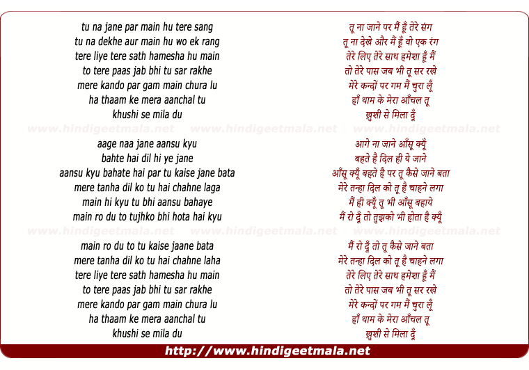 lyrics of song Tu Na Jaane Par Mai Hu