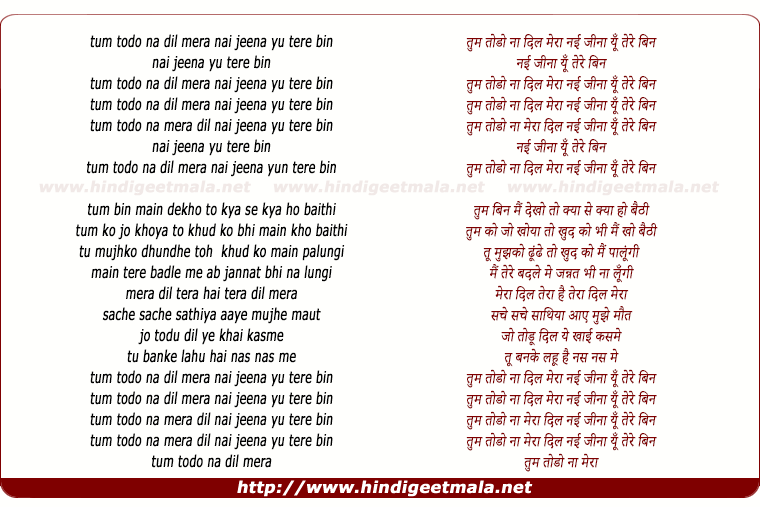 lyrics of song Tum Todo Na