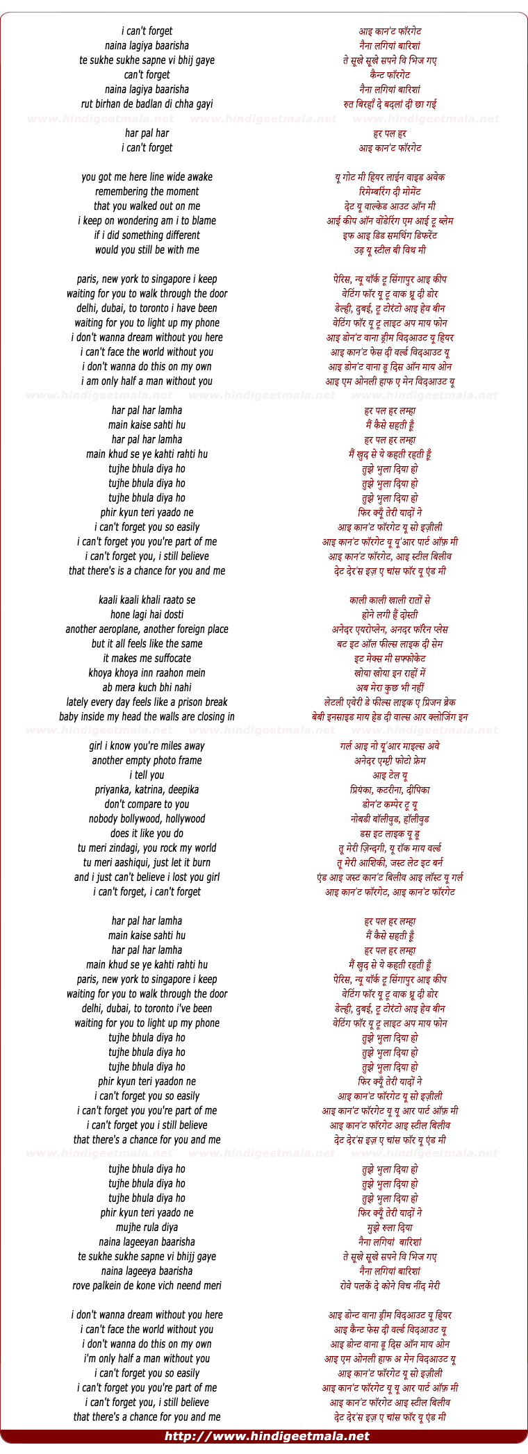 lyrics of song Cant Forget You (Tujhe Bhula Diya)