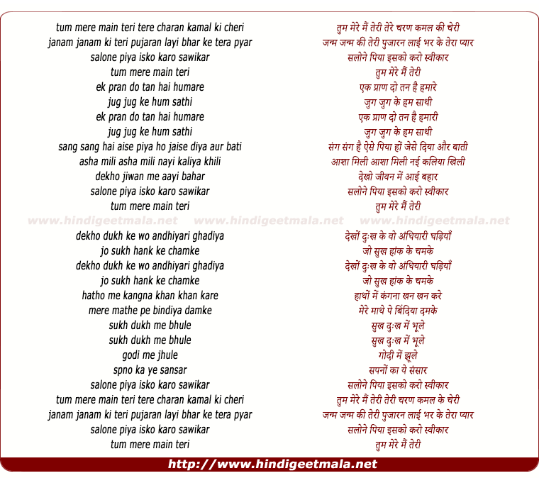lyrics of song Tum Mere Mai Teri