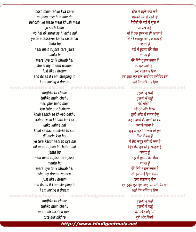 lyrics of song Loving A Dream